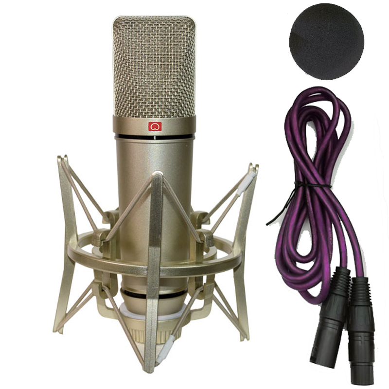 Mikrofon kondensor profesional - Shure Mic Sm58 ulasan dan harga